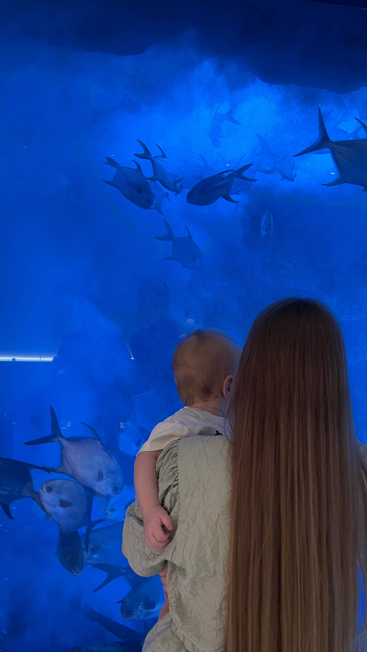 поездка в Дубай